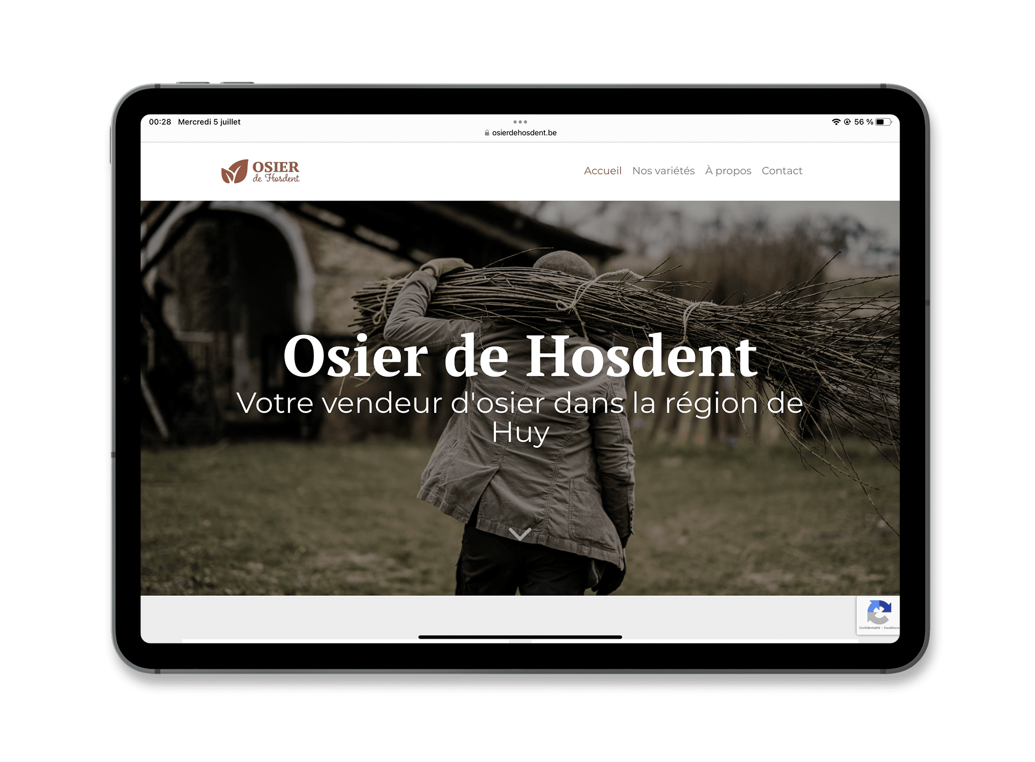Site osierdehosdent.be sur un iPad